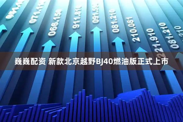 巍巍配资 新款北京越野BJ40燃油版正式上市