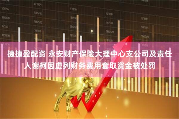 捷捷盈配资 永安财产保险大理中心支公司及责任人谢柯因虚列财务费用套取资金被处罚