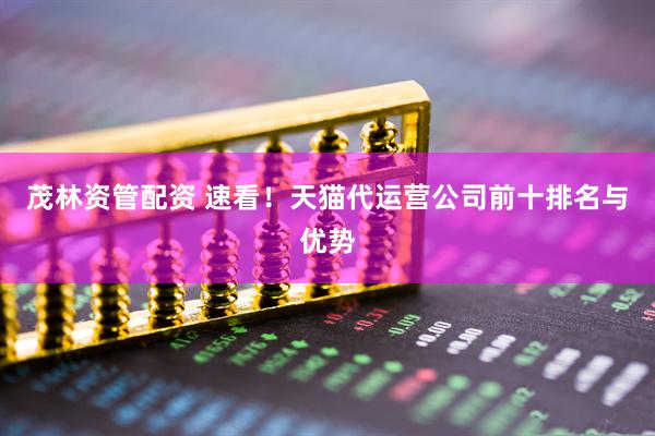 茂林资管配资 速看！天猫代运营公司前十排名与优势
