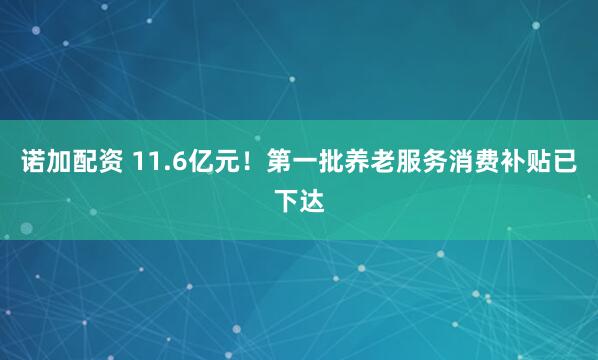 诺加配资 11.6亿元！第一批养老服务消费补贴已下达